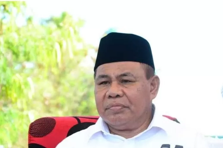Plt Gubernur Malut M Ali Yasin